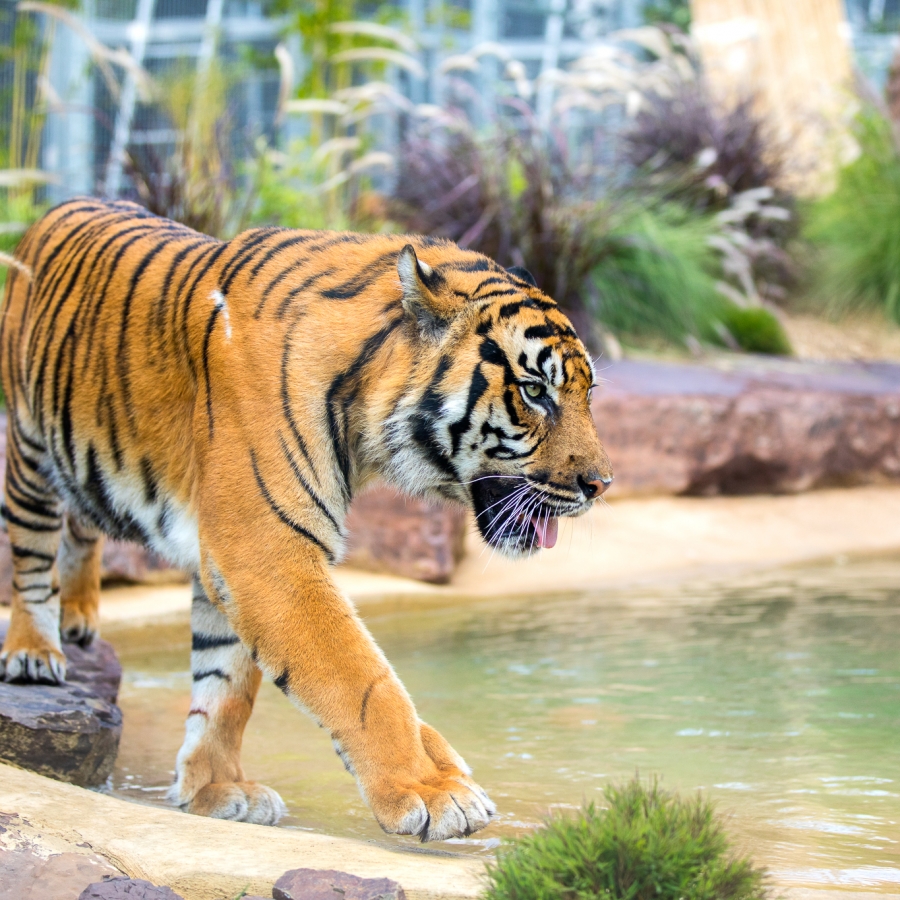 2019-05-01-ahp-ballarat-wildlife-park-27-oqb248kdrrfin36yxrqncje1l7w92tqkm20vvy9nag 2019-05-01-ahp-ballarat-wildlife-park-27-oqb248kdrrfin36yxrqncje1l7w92tqkm20vvy9nag